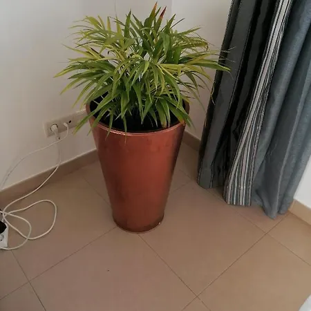 Apartmán Modern With Sunny South Facing Terrace *