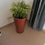 شقة Modern With Sunny South Facing Terrace *